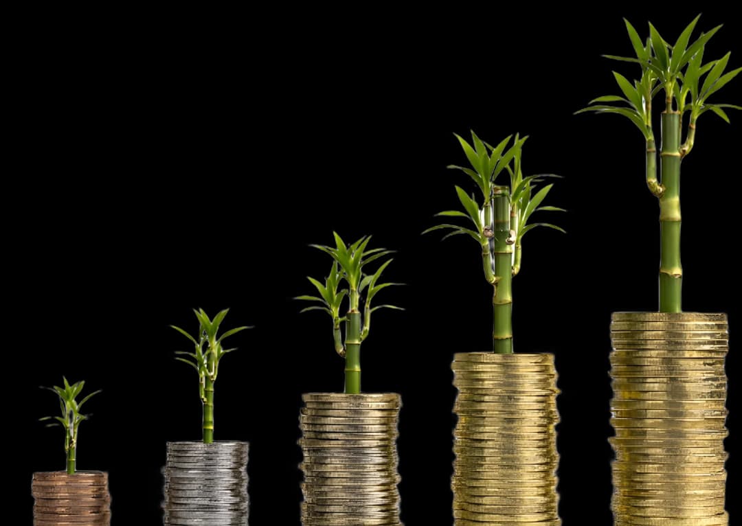 Money Tree